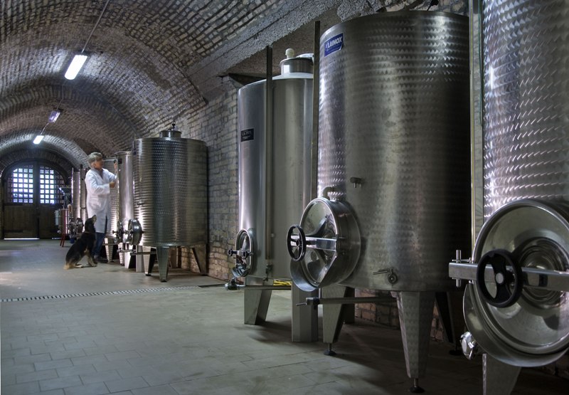 marchiodoc_silos vino