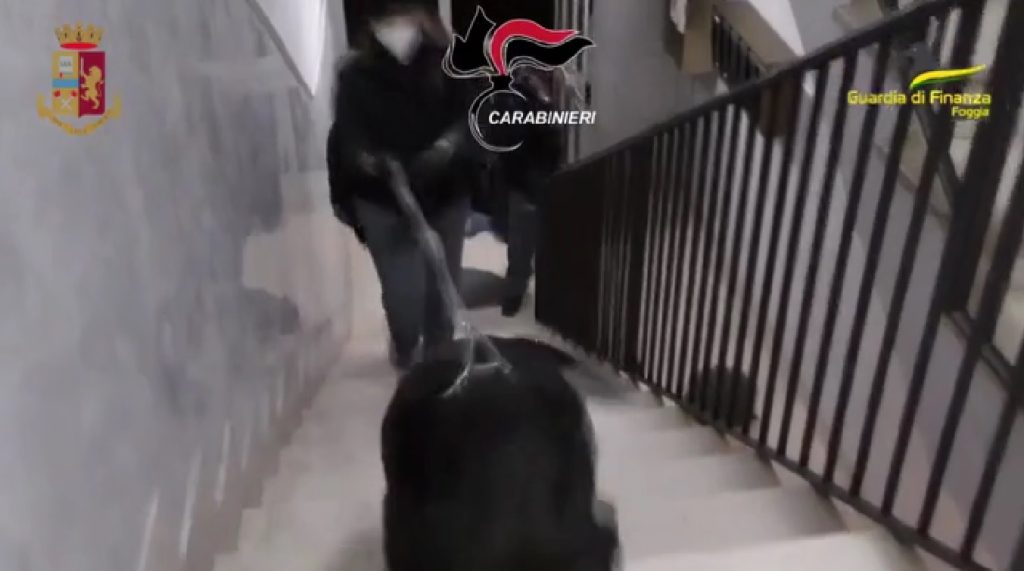 VIDEO | Droga, armi, ricettazione: arresti a Cerignola. 160 agenti nella Provincia 