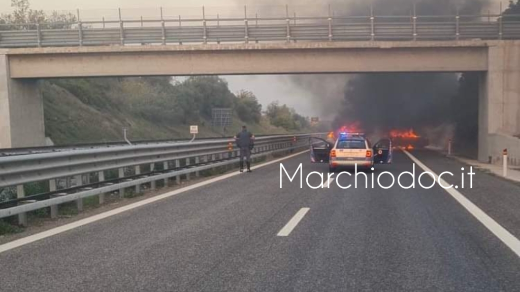 Tentato assalto a portavalori sulla A14 tra Cerignola e Canosa | FOTO