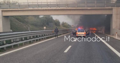 Assalti a blindati, la DDA chiude le indagini per 16 componenti della banda