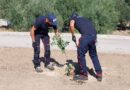 FADOI e Carabinieri piantano un albero al Tatarella di Cerignola:  si potrà vederlo crescere sul web