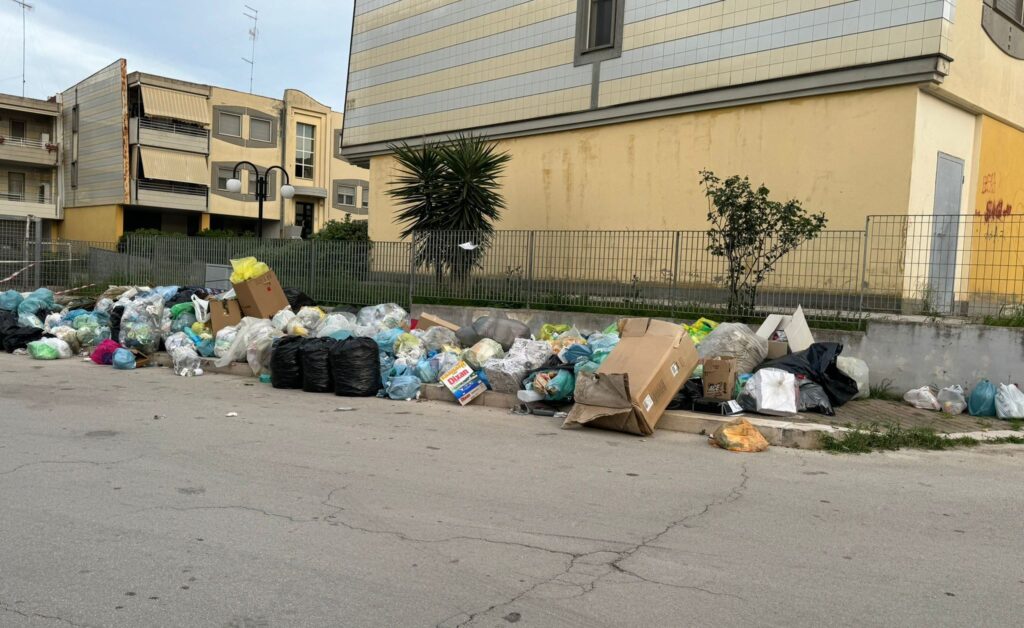 Rifiuti a Torricelli, Lasalvia: "Colpa di un singolo". Dercole: "L'Amministrazione tollera tutto questo"