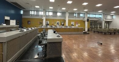 Maggioranza, lo scontro del giorno: sudditi contro ectoplasmi